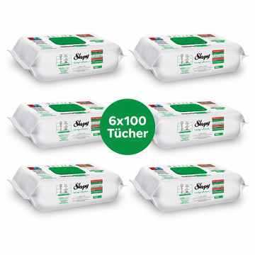 Sleepy Easy Clean Feuchttücher Reinigungstücher 100 Stück verschiedene Sorten